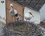 Capi_Dubne_20250415_131504.jpg