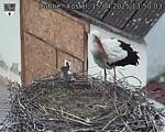 Capi_Dubne_20250415_135003.jpg