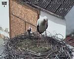 Capi_Dubne_20250415_135503.jpg