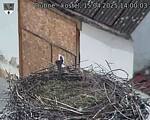 Capi_Dubne_20250415_140003.jpg