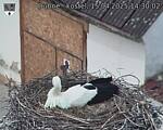 Capi_Dubne_20250415_143002.jpg