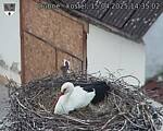 Capi_Dubne_20250415_143502.jpg