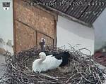 Capi_Dubne_20250415_144003.jpg