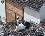 Capi_Dubne_20250415_151002.jpg