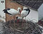 Capi_Dubne_20250415_152002.jpg