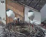 Capi_Dubne_20250415_153002.jpg