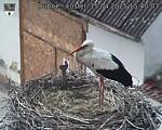 Capi_Dubne_20250415_154003.jpg