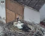Capi_Dubne_20250415_155502.jpg