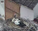 Capi_Dubne_20250415_161002.jpg
