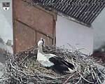 Capi_Dubne_20250415_161503.jpg