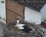 Capi_Dubne_20250415_162003.jpg