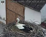 Capi_Dubne_20250415_162503.jpg