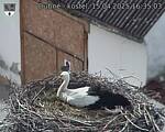 Capi_Dubne_20250415_163503.jpg