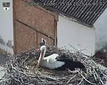 Capi_Dubne_20250415_164002.jpg