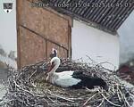 Capi_Dubne_20250415_164503.jpg