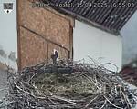 Capi_Dubne_20250415_165503.jpg