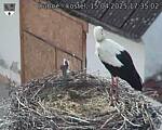 Capi_Dubne_20250415_173502.jpg