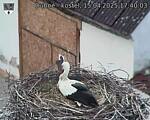 Capi_Dubne_20250415_174003.jpg