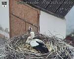 Capi_Dubne_20250415_174503.jpg