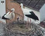Capi_Dubne_20250415_175503.jpg