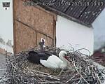 Capi_Dubne_20250415_181003.jpg