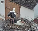 Capi_Dubne_20250415_182003.jpg