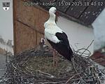 Capi_Dubne_20250415_184002.jpg