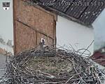 Capi_Dubne_20250415_185003.jpg