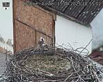 Capi_Dubne_20250415_185502.jpg