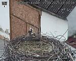 Capi_Dubne_20250415_190004.jpg