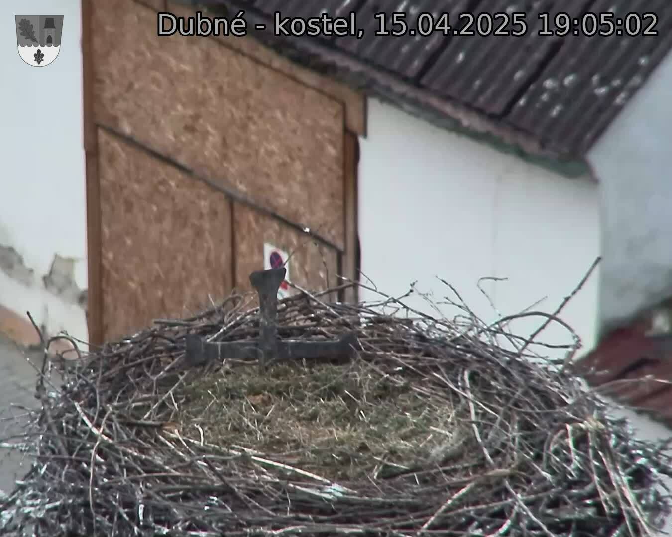 Capi_Dubne_20250415_190502.jpg (1350 x 1080)