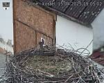 Capi_Dubne_20250415_190502.jpg