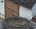 Capi_Dubne_20250415_191003.jpg