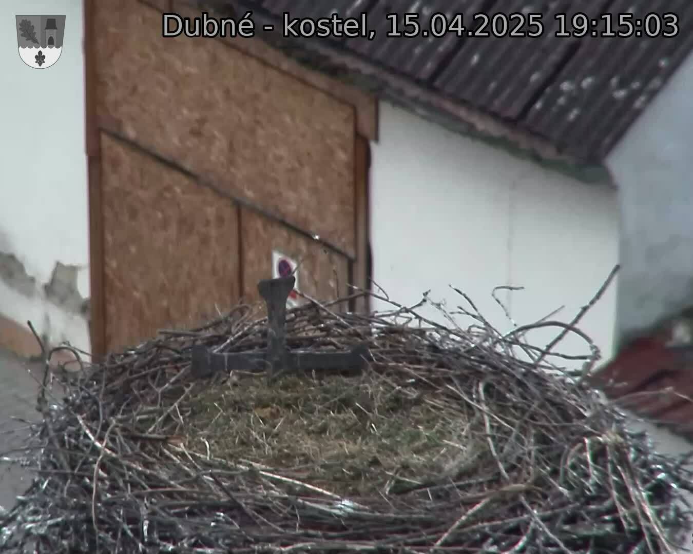 Capi_Dubne_20250415_191503.jpg (1350 x 1080)