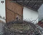 Capi_Dubne_20250415_191503.jpg