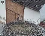 Capi_Dubne_20250415_192003.jpg