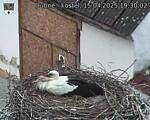 Capi_Dubne_20250415_193002.jpg