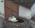 Capi_Dubne_20250415_193503.jpg