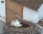 Capi_Dubne_20250415_194002.jpg