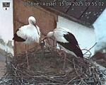 Capi_Dubne_20250415_195502.jpg
