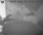 Capi_Dubne_20250415_203003.jpg