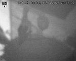 Capi_Dubne_20250415_204502.jpg