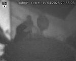 Capi_Dubne_20250415_205503.jpg