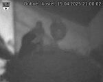 Capi_Dubne_20250415_210002.jpg