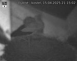 Capi_Dubne_20250415_211502.jpg
