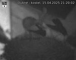 Capi_Dubne_20250415_212002.jpg