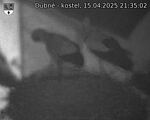 Capi_Dubne_20250415_213502.jpg