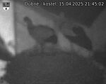 Capi_Dubne_20250415_214502.jpg