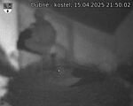 Capi_Dubne_20250415_215002.jpg