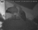 Capi_Dubne_20250415_220002.jpg